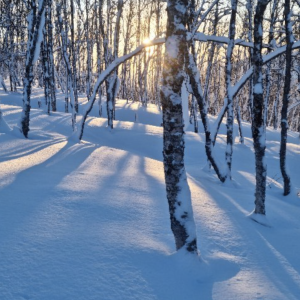 Siula Mountain Guides 7